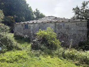 Fincas con Casas de Piedra y Eucaliptal