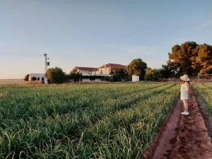 58Ha Finca