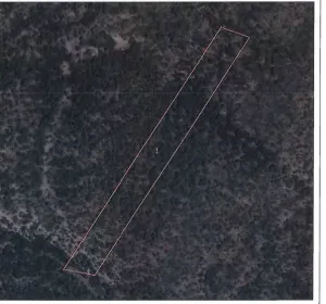 Mojonazo (Cabrejas del Pinar)