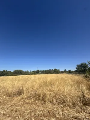 VENTA TERRENO EL CHAPARRILLO 5214 m2