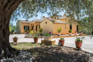 ^^ EN VENTA EXCLUSIVA – IMPRESIONANTE FINCA DE 4 HECTÁREAS EN VALGRANDE, CHINCHÓN ^**^ Ponemos a la