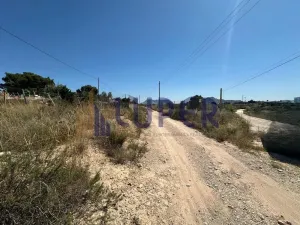 SE VENDE MAGNÍFICA FINCA RÚSTICA CON PARTE URBANA EN EL MORALET (ALICANTE)