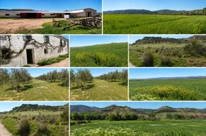 EXCLUSIVA EXPLOTACIÓN AGROGANADERA DE 172 ha