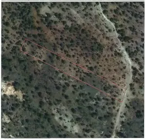 El Tolillo