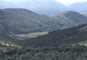Finca de caza mayor muy bonita