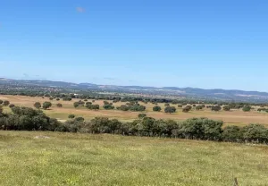 Finca ganadera muy buena