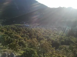 FINCA AGUACATES CON PRODUCCION EN CRECIMIENTO