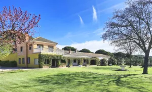 Magnifica finca, gran casa para negocio rural