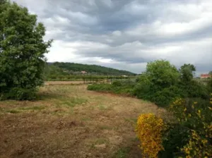 Finca rustica de 3000 m en Jarandilla