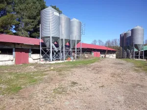 Finca Ganadera Vivienda en Venta – Navasfrías