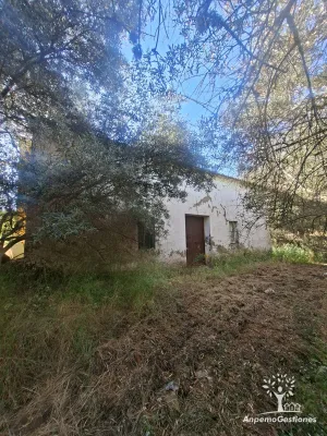 17 has olivar, vivienda, sierra y pozo