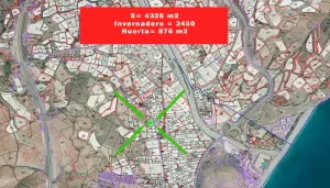 Invernadero en producción Sotillo