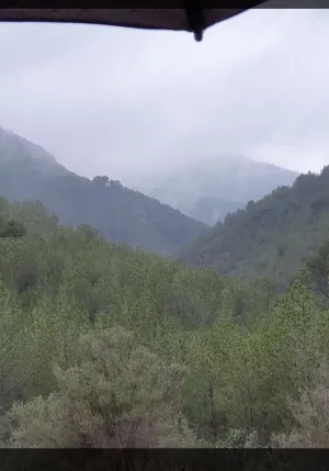 46721 Mtrs  de Terreno olivares