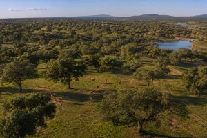 Exclusiva Finca Cinegética y Ganadera