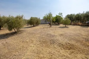 Encanto rústico con casita y olivos en Moraleja de Zafayona 🌿