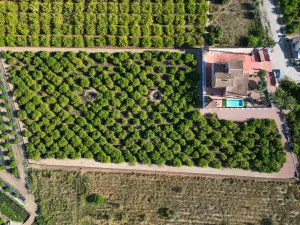 Finca Rustica en Orihuela