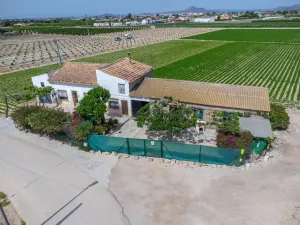 Finca en Orihuela
