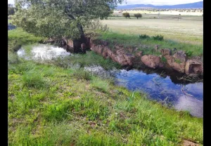 Alquilo finca