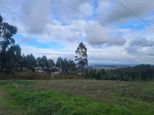 venta de finca uso forestal en culleredo