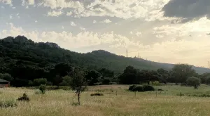 Finca en el Parque de Monfragüe
