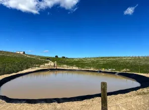 ^**^FINCA AGRÍCOLA Y DE RECREO EN TOLEDO – 17 HECTÁREAS CON MÚLTIPLES POSIBILIDADES DE DESARROLLO^**^