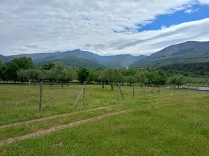 Finca rustica en Hervás