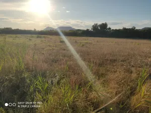Finca agrícola en venda
