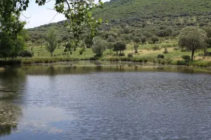 Finca de caza, ganadera, agrícola. Ref. 1548