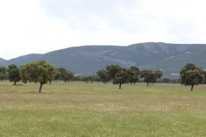 Finca recreo, caza e hípica Ref. 1547