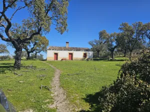 Dehesa en Brozas