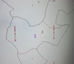alquilo 8ha de pastos y monte bajo