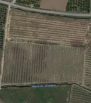 Finca agrícola de 2,24 ha - 27 hanegadas