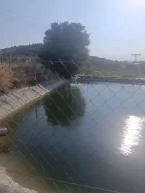 Casa rústica con porche y patio en Paraje Retamar, Cehegín – 97 m2