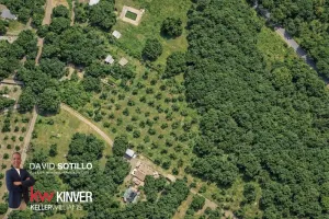 Finca rústica con vivienda, olivar, frutales
