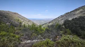Terreno rústico a pie de la Sierra de Bernia