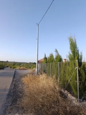 Finca rústica de 30.771 m2 con 500 almendros, 35 oliveras y almacén en Bullas