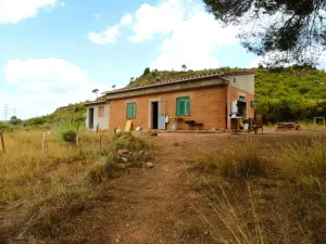 Finca Rústica con Amplias Posibilidades