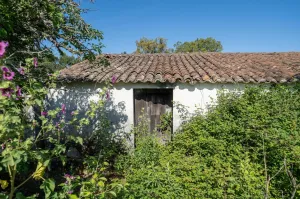 Finca en Odemira