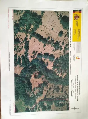 Terreno al lado del rio con un tinado