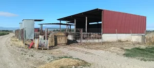 Vendo granja terneros