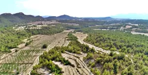 HACIENDA RUSTICA CON CASA CORTIJO - MORATALLA