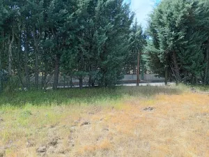 Venta de parcela urbana 4100M2