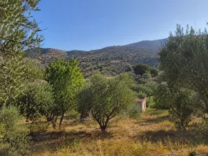FINCA RÚSTICA DE 1800 m² CON PEQUEÑO CORTIJO