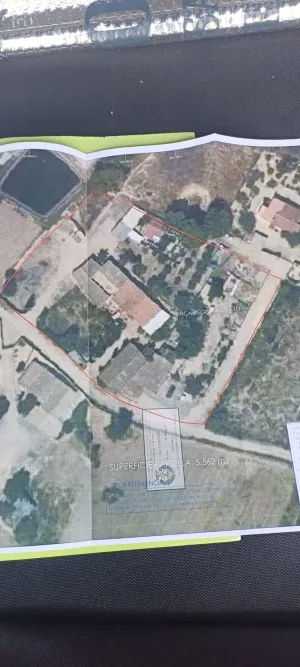 Finca rústica con vivienda y naves sobre parcela de 5.562 m2 en Elche