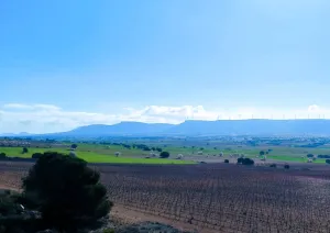 OPORTUNIDAD DE INVERSIÓN AGRÍCOLA