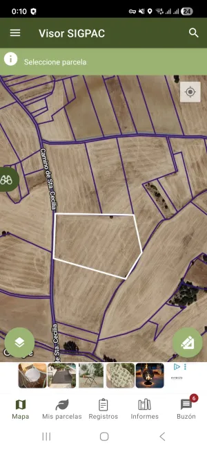 Vendo 11 HA Villamayor de los Montes