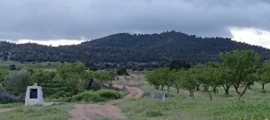 VENDO FINCA 85 Ha en CÚLLAR