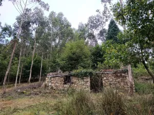 Finca en Pravia