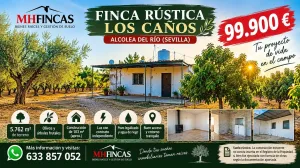 ¡¡OPORTUNIDAD!! Finca Rústica con Vivienda, Pozo Legalizado y 5.762 m2 de Naturaleza | Alcolea del Río (Sevilla)