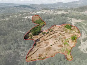 Finca en Amarante - Porto